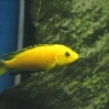 vivarium 006.jpg